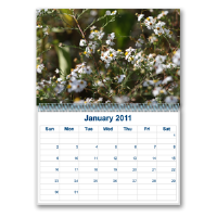 Calendars