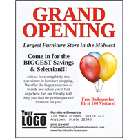 Flyers 8.5" x 11" (Advanced)